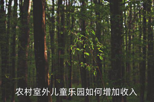 戶外親子樂園，農村室外兒童樂園如何增加收入