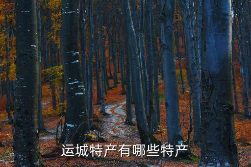 運城特產有哪些特產