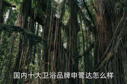 申鷺達衛浴，申鷺達衛浴怎么樣