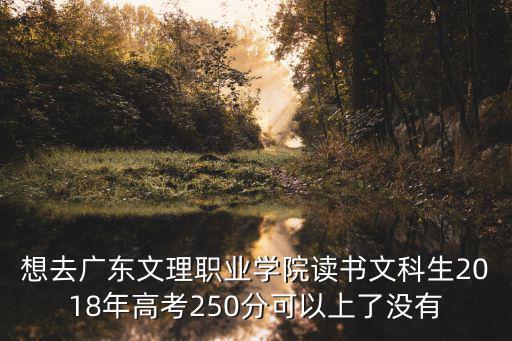 想去廣東文理職業(yè)學(xué)院讀書文科生2018年高考250分可以上了沒有