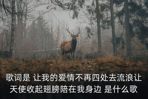 歌詞是 讓我的愛情不再四處去流浪讓天使收起翅膀陪在我身邊 是什么歌