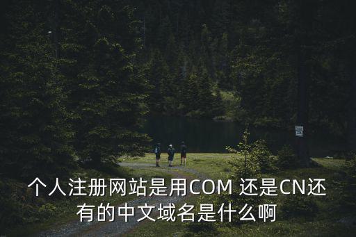 個人注冊網站是用COM 還是CN還有的中文域名是什么啊