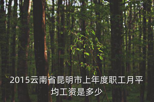 2015云南省昆明市上年度職工月平均工資是多少