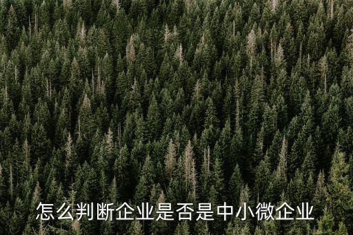 怎么判斷企業是否是中小微企業