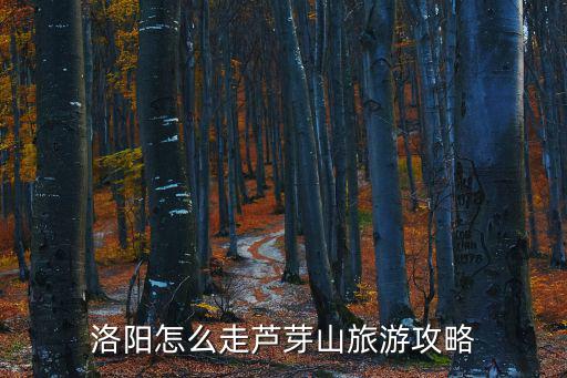 蘆芽山攻略，蘆芽山最好玩的是什么