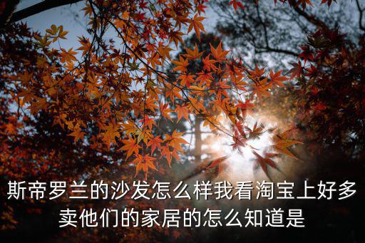 斯帝羅蘭，斯帝羅蘭的沙發(fā)怎么樣我看淘寶上好多賣他們的家居的怎么知道是