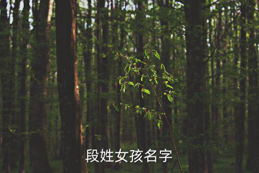 段姓女孩名字