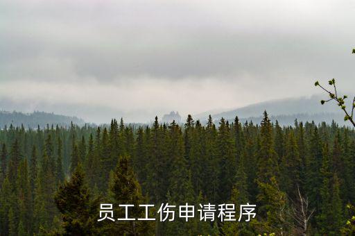 工傷申報(bào)流程，工傷認(rèn)定申請(qǐng)流程是怎么樣的