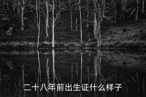 二十八年前出生證什么樣子