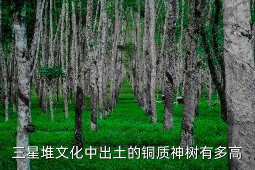 三星堆文化中出土的銅質(zhì)神樹有多高