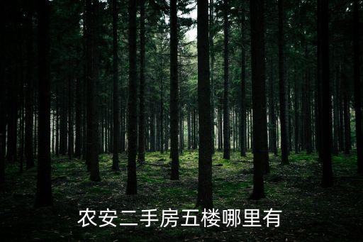 農安二手房五樓哪里有