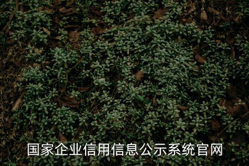 國家企業(yè)信用信息公示系統(tǒng)官網(wǎng)