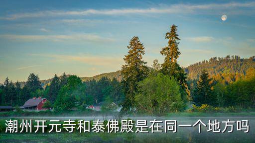 潮州開元寺和泰佛殿是在同一個地方嗎