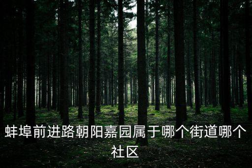 朝陽嘉園，北京朝陽金盞嘉園在哪里呢