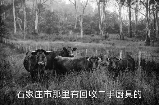 石家莊市那里有回收二手廚具的
