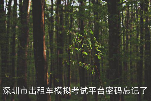 模擬考試平臺，特種設備模擬考試平臺靠譜嗎