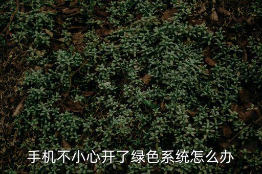手機不小心開了綠色系統怎么辦