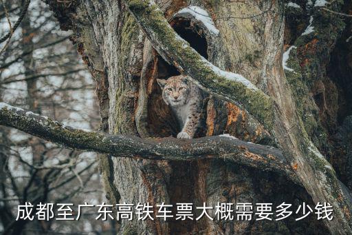 成都至廣東高鐵車票大概需要多少錢