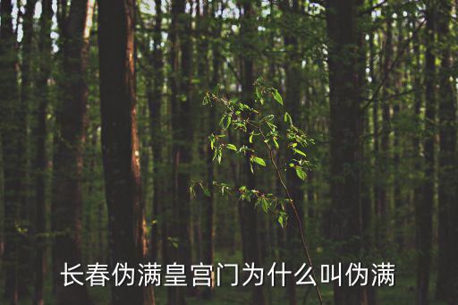 長春偽滿皇宮門為什么叫偽滿