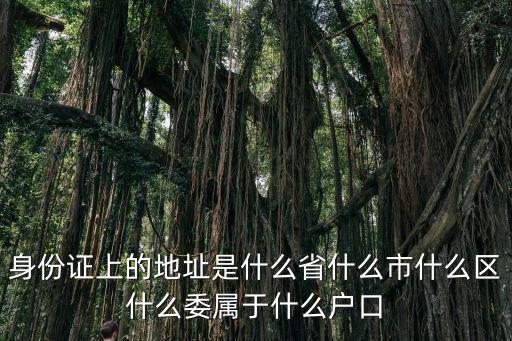 身份證上的地址是什么省什么市什么區什么委屬于什么戶口