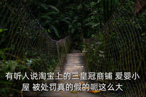 有聽人說淘寶上的三皇冠商鋪 愛嬰小屋 被處罰真的假的呃這么大