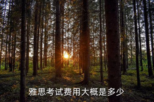 雅思考試費用大概是多少