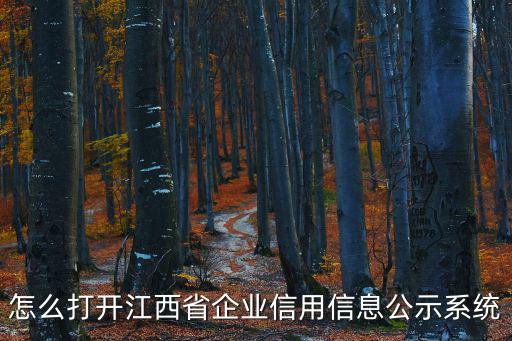 怎么打開江西省企業信用信息公示系統