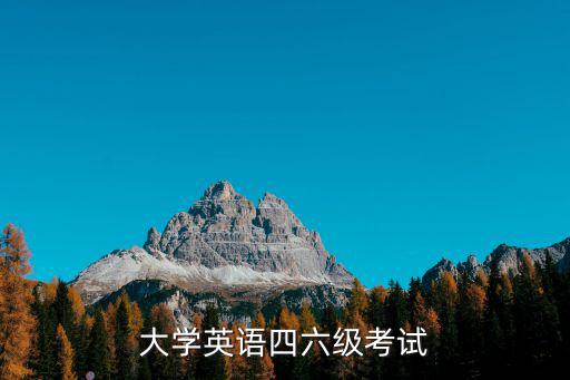 大學(xué)英語四六級(jí)考試