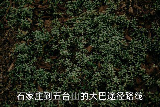 石家莊到五臺(tái)山的大巴途徑路線