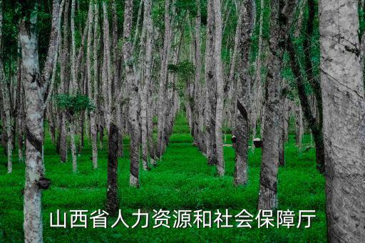 山西人力資源和社會保障廳，山西社保24小時咨詢電話