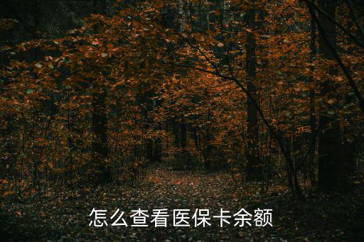 怎么查看醫保卡余額
