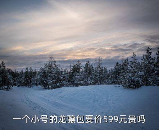 一個(gè)小號(hào)的龍?bào)J包要價(jià)599元貴嗎