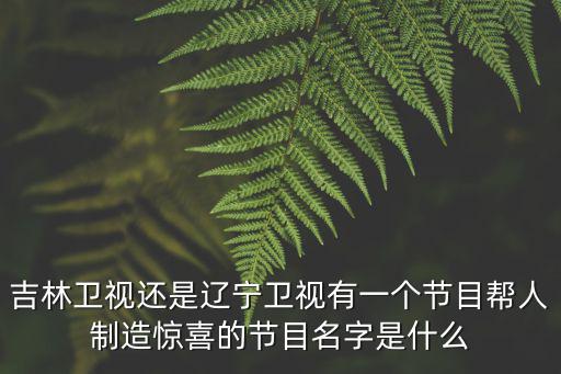 吉林衛(wèi)視還是遼寧衛(wèi)視有一個節(jié)目幫人制造驚喜的節(jié)目名字是什么