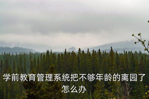 學(xué)前教育系統(tǒng)，學(xué)前教育系統(tǒng)身份證無學(xué)籍怎么辦