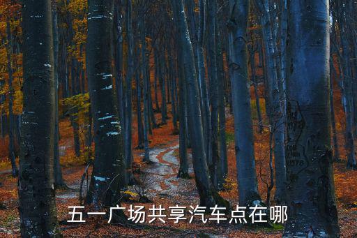 五一廣場共享汽車點在哪