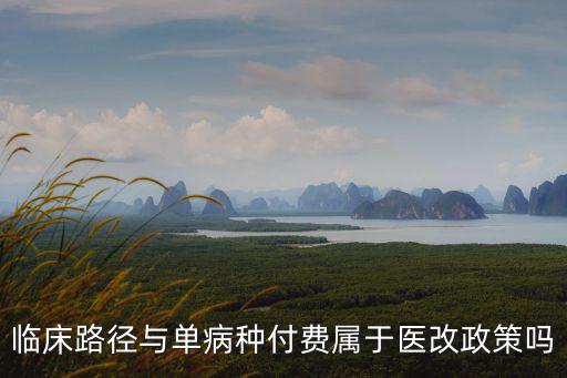 醫保支付方式改革，如何評價醫療費用支付方式改革的成效