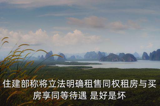 住建部稱將立法明確租售同權租房與買房享同等待遇 是好是壞