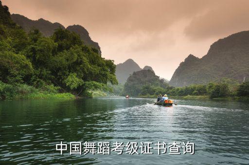 中國舞蹈考級證書查詢