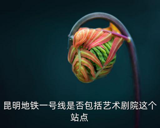 昆明地鐵一號線是否包括藝術劇院這個站點