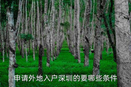 申請外地入戶深圳的要哪些條件