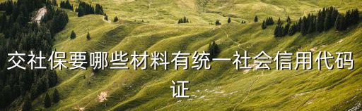 交社保要哪些材料有統(tǒng)一社會(huì)信用代碼證