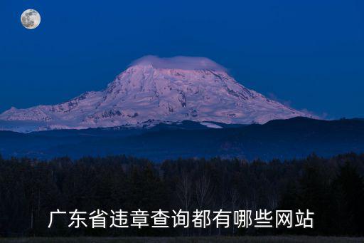 廣東省違章查詢都有哪些網站