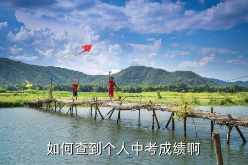 個(gè)人中考成績(jī)，如何查到個(gè)人中考成績(jī)啊
