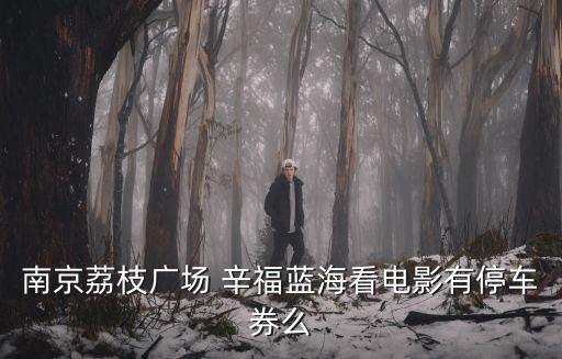 南京荔枝廣場 辛福藍海看電影有停車券么
