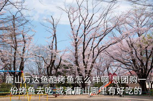 唐山萬達魚酷烤魚怎么樣啊 想團購一份烤魚去吃 或者唐山哪里有好吃的