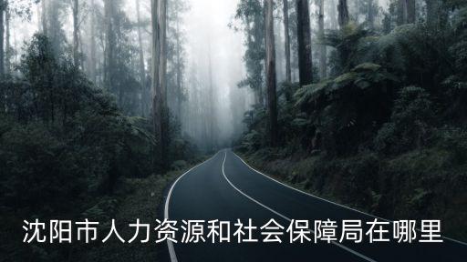 沈陽市人力資源和社會保障局在哪里