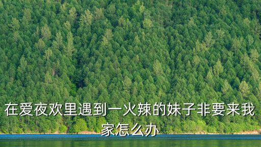 在愛夜歡里遇到一火辣的妹子非要來我家怎么辦