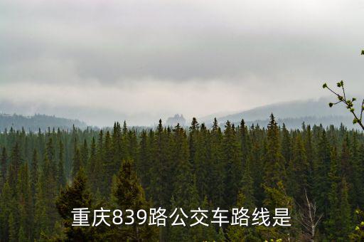 重慶839路公交車路線是
