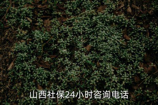 山西社保24小時咨詢電話