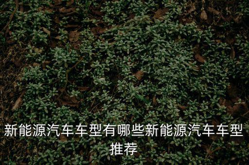 新能源小汽車，比較出名的新能源汽車都有哪些